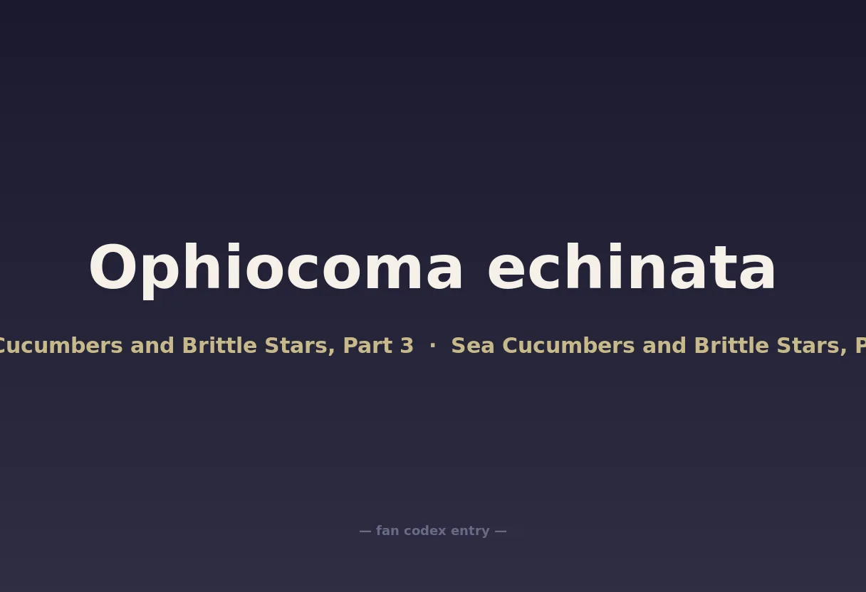 Ophiocoma echinata