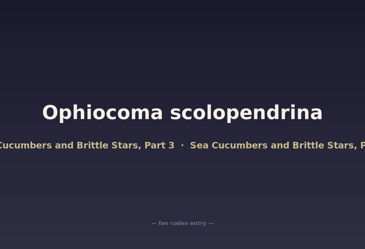 Ophiocoma scolopendrina