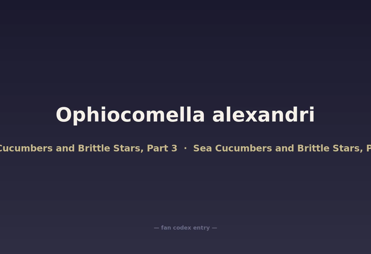 Ophiocomella alexandri