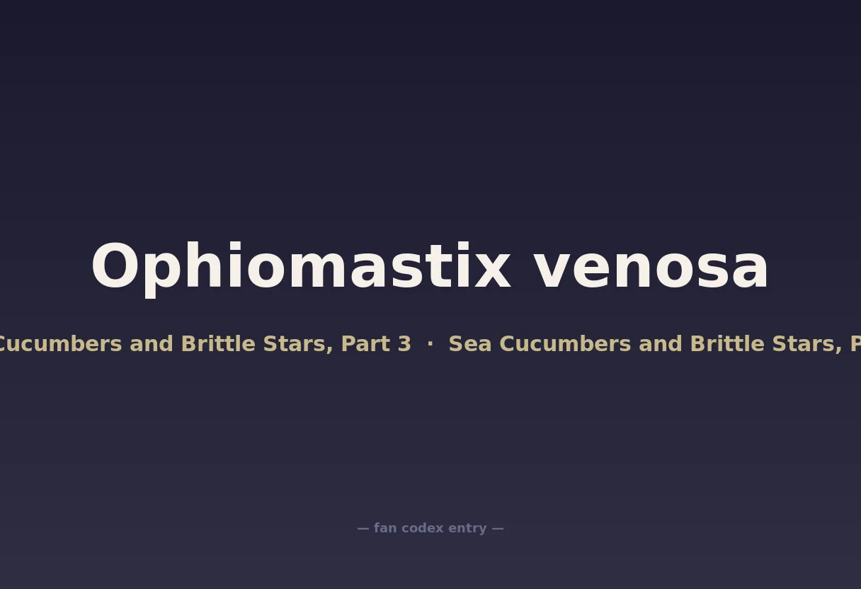 Ophiomastix venosa