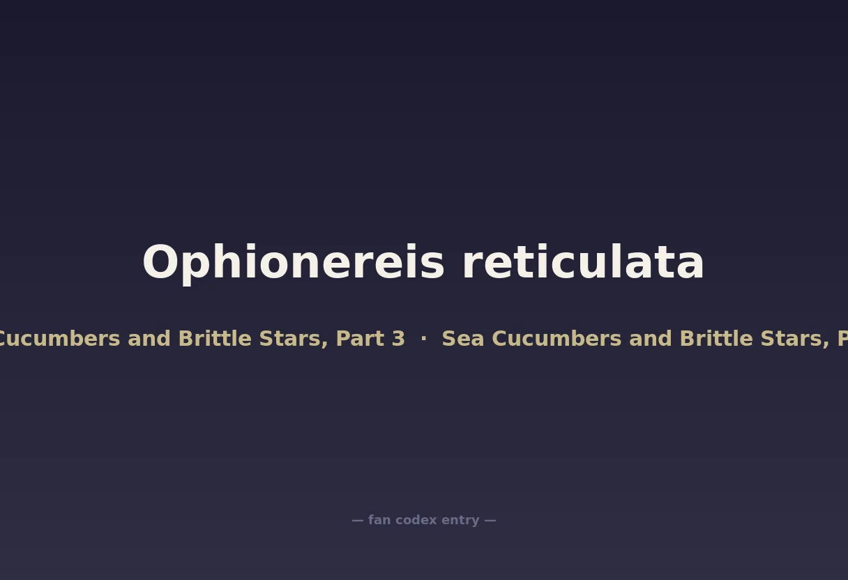 Ophionereis reticulata
