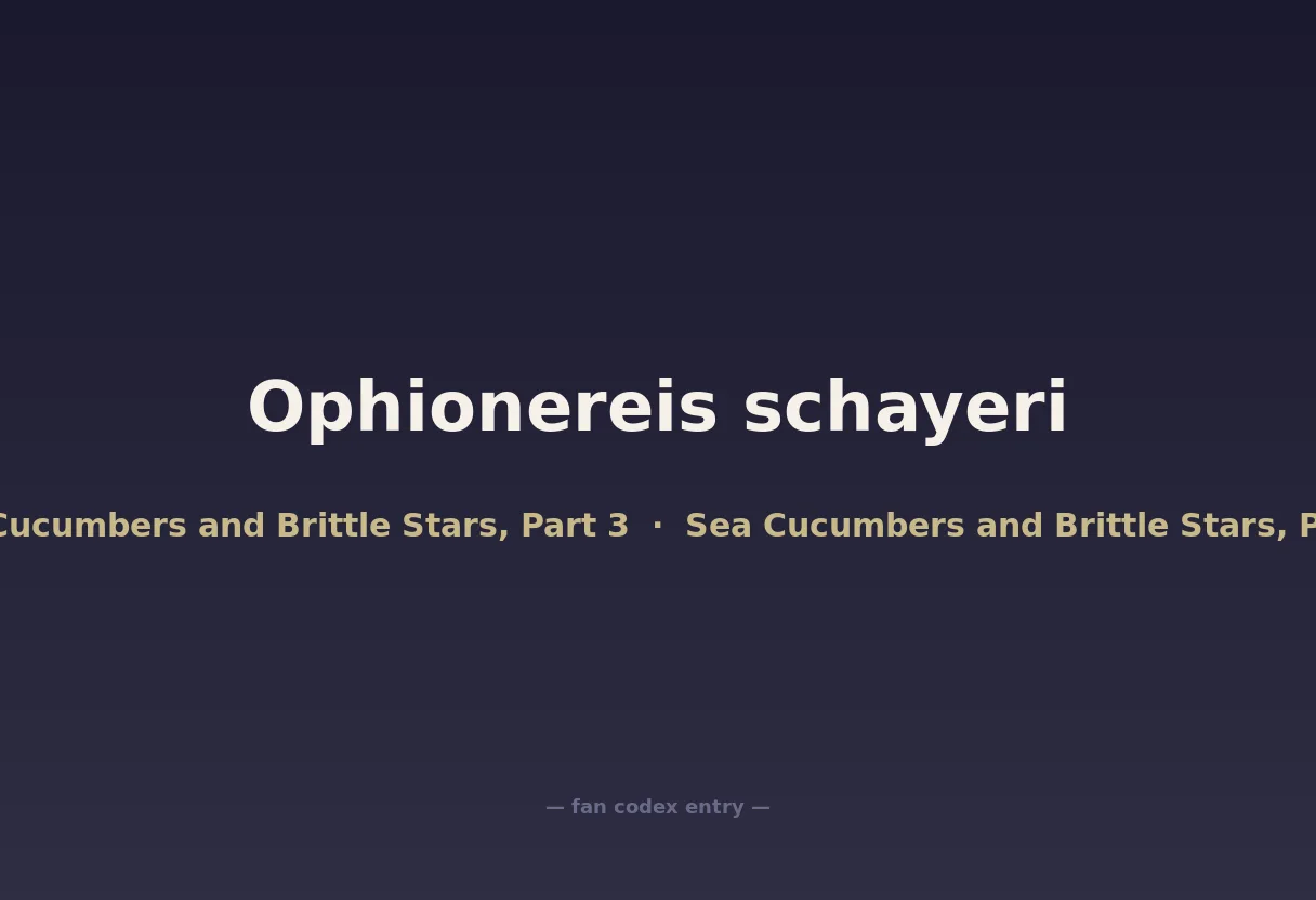 Ophionereis schayeri