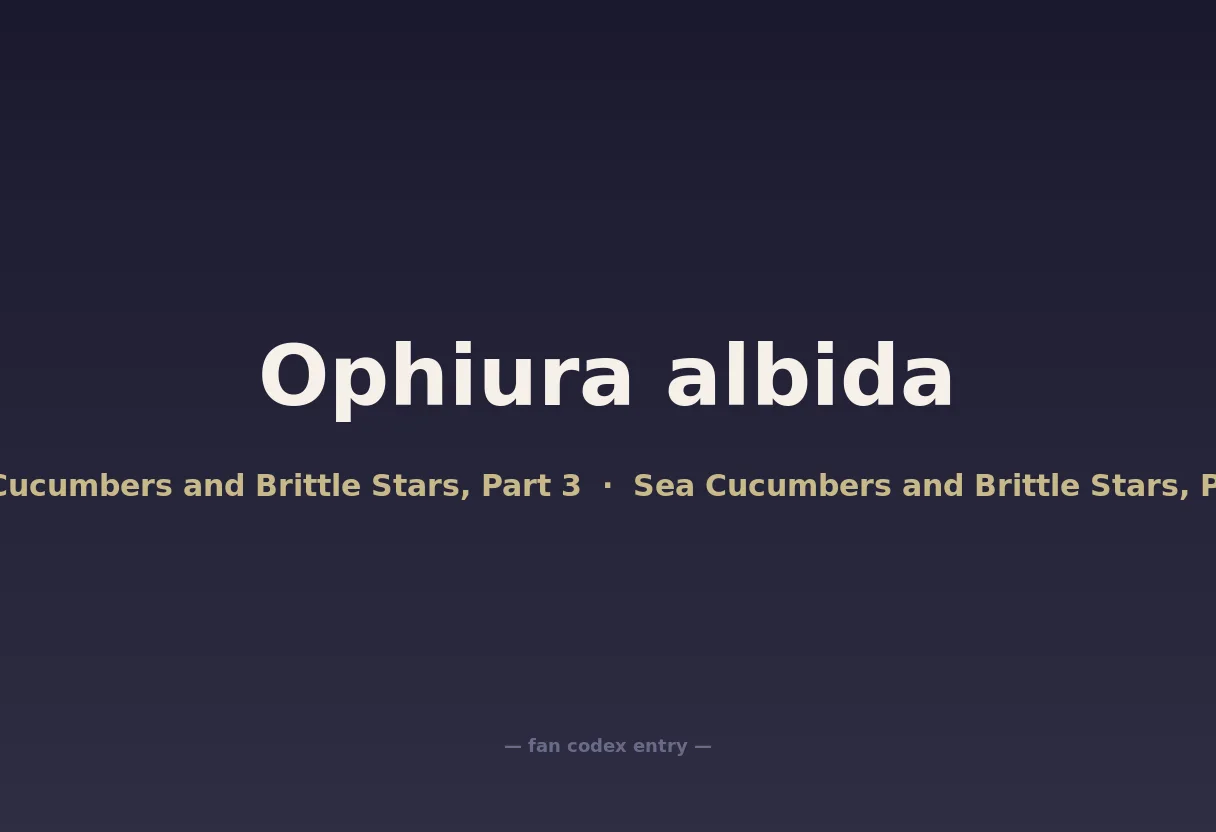 Ophiura albida