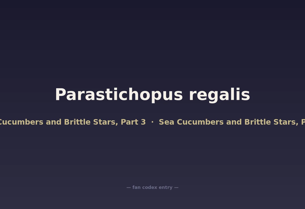 Parastichopus regalis