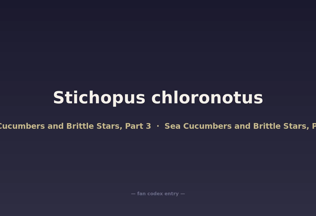 Stichopus chloronotus