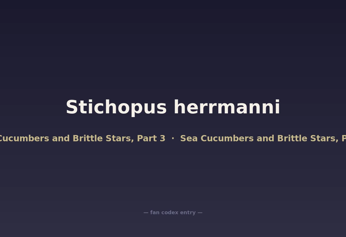 Stichopus herrmanni
