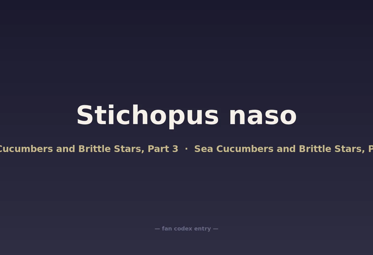Stichopus naso