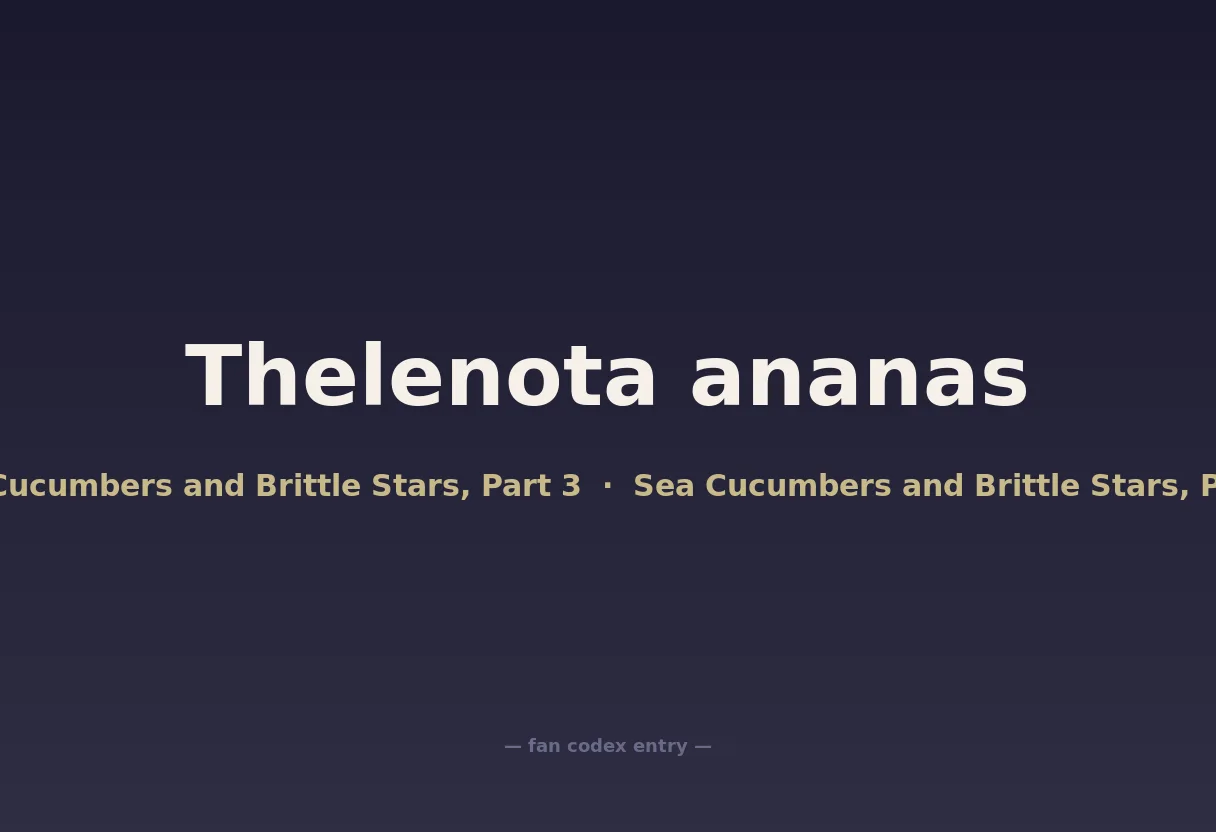 Thelenota ananas