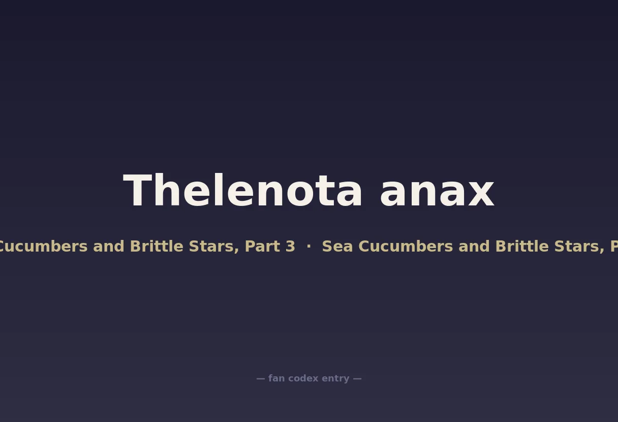 Thelenota anax