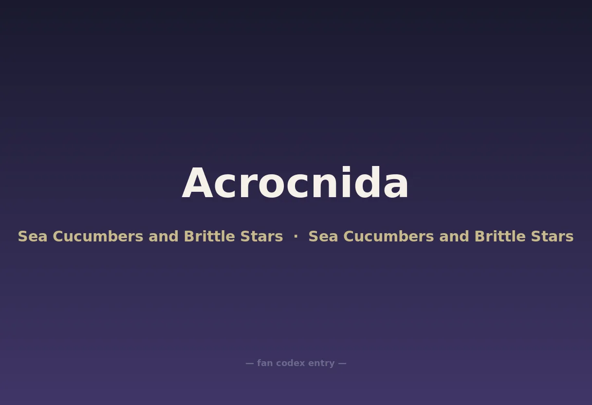 Acrocnida