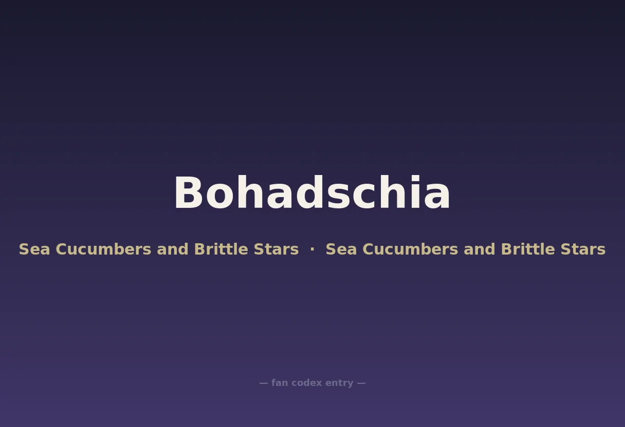 Bohadschia