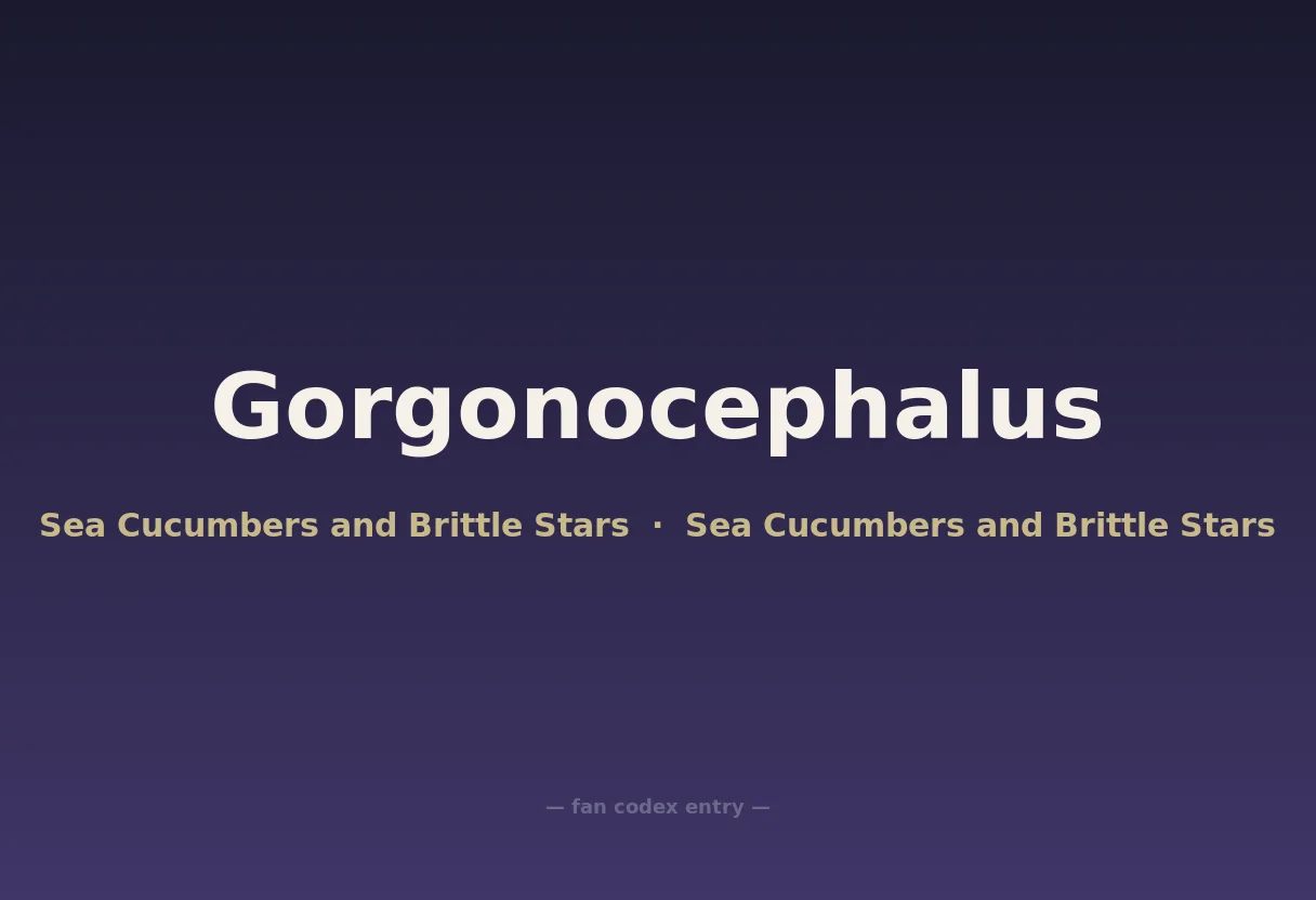 Gorgonocephalus