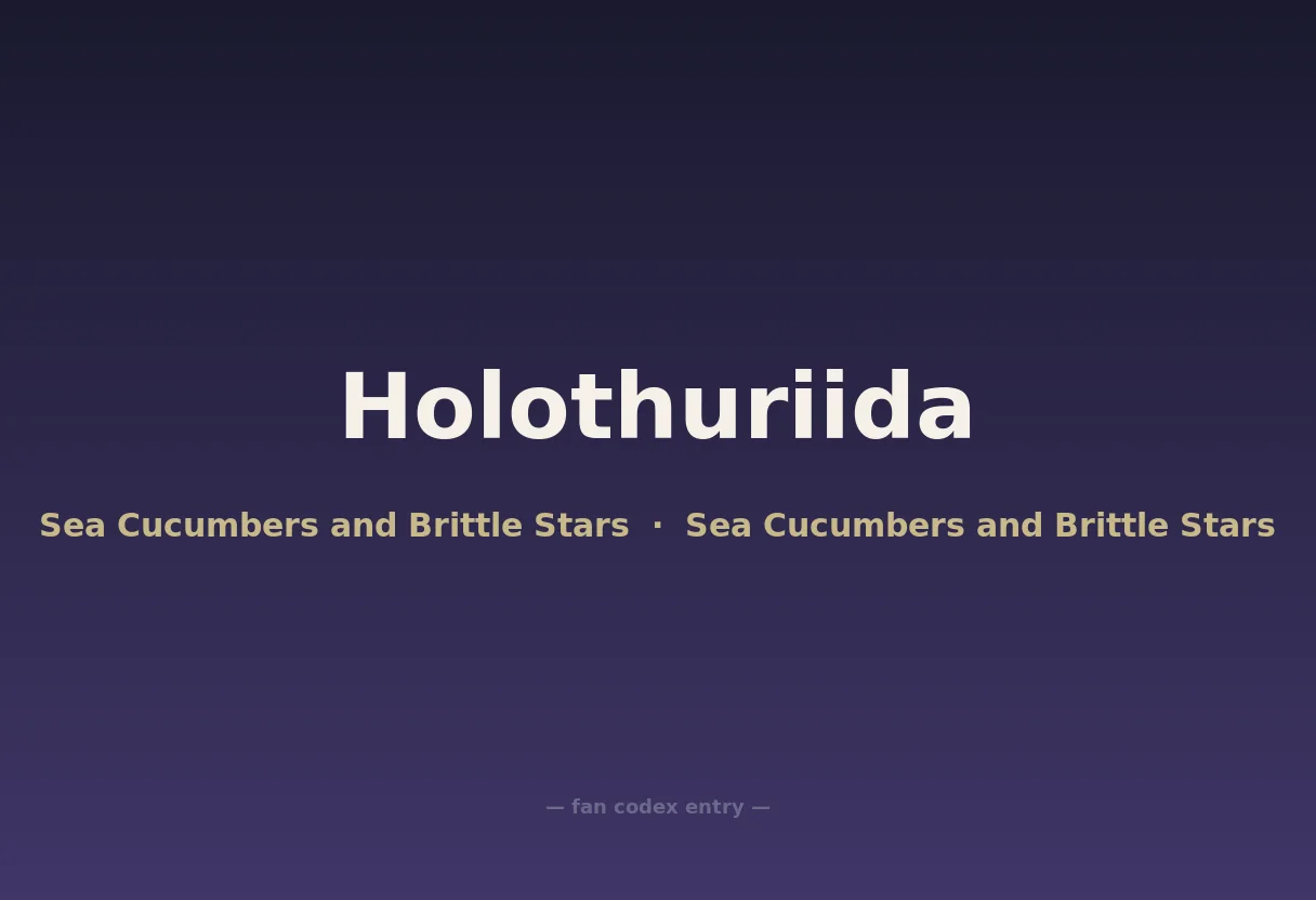 Holothuriida