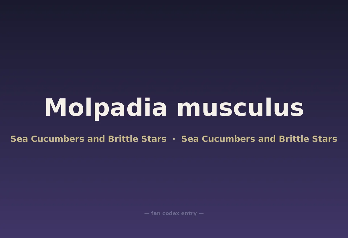 Molpadia musculus