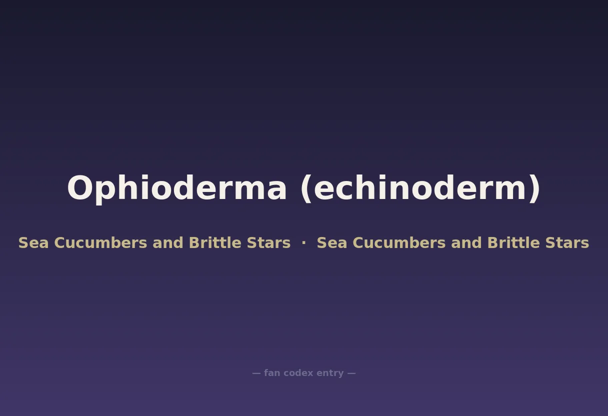 Ophioderma (echinoderm)