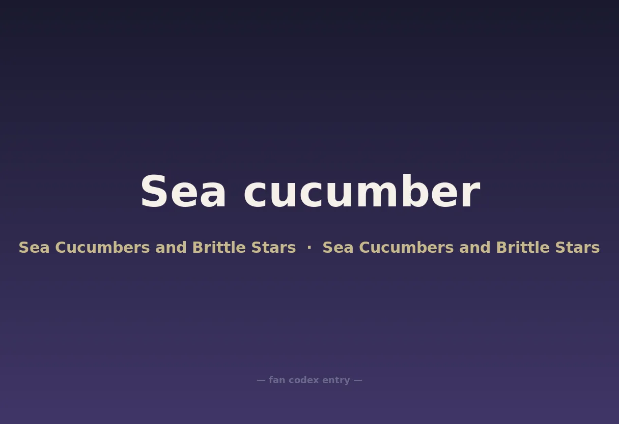 Sea cucumber