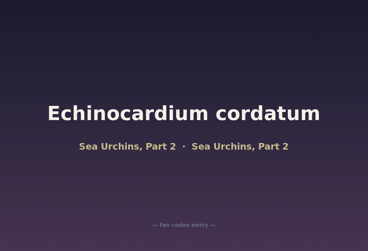 Echinocardium cordatum