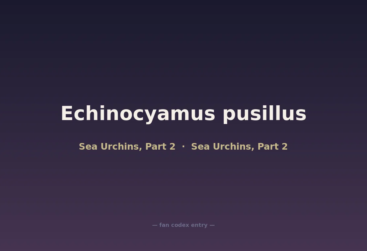 Echinocyamus pusillus