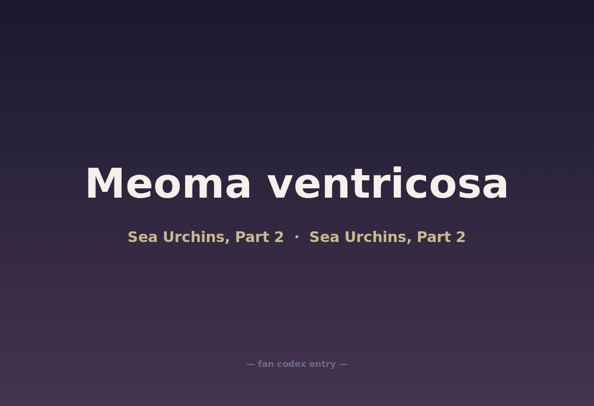 Meoma ventricosa