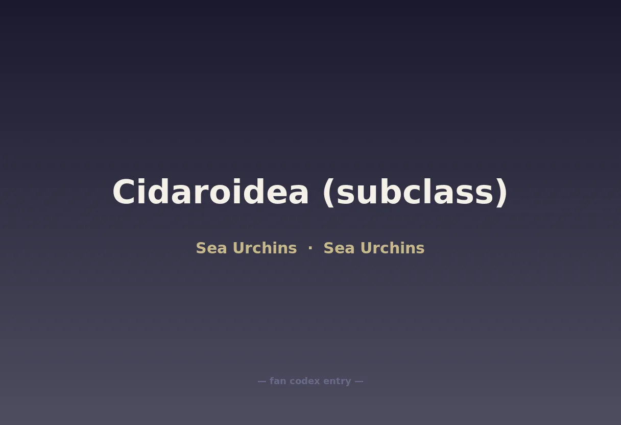 Cidaroidea (subclass)