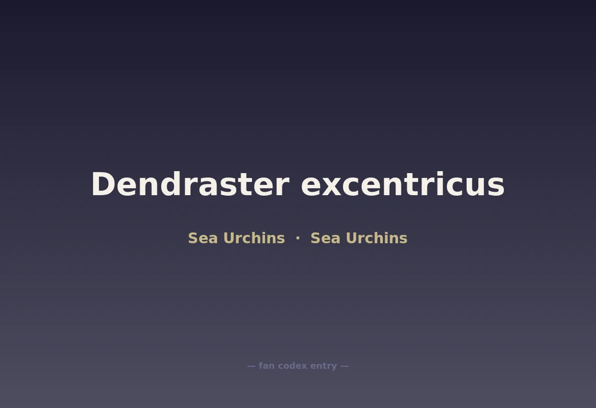 Dendraster excentricus
