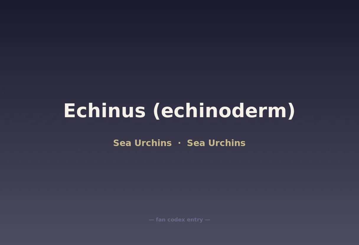 Echinus (echinoderm)