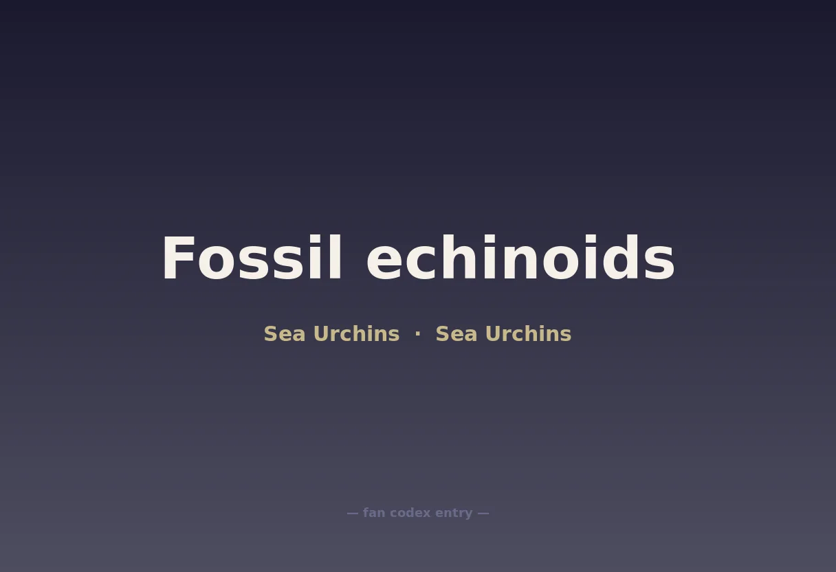 Fossil echinoids
