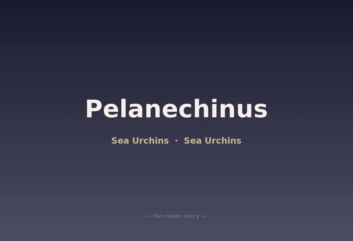 Pelanechinus