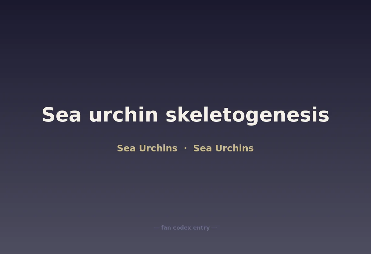 Sea urchin skeletogenesis