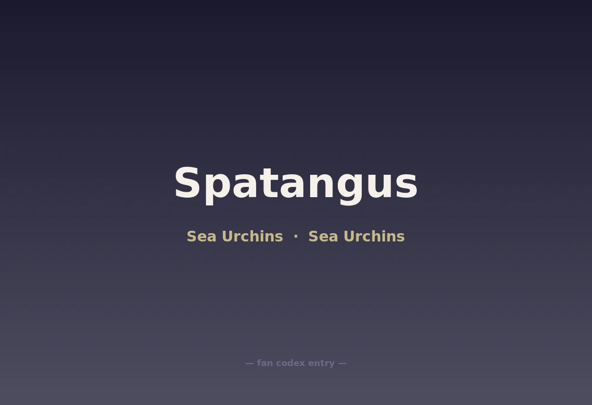 Spatangus