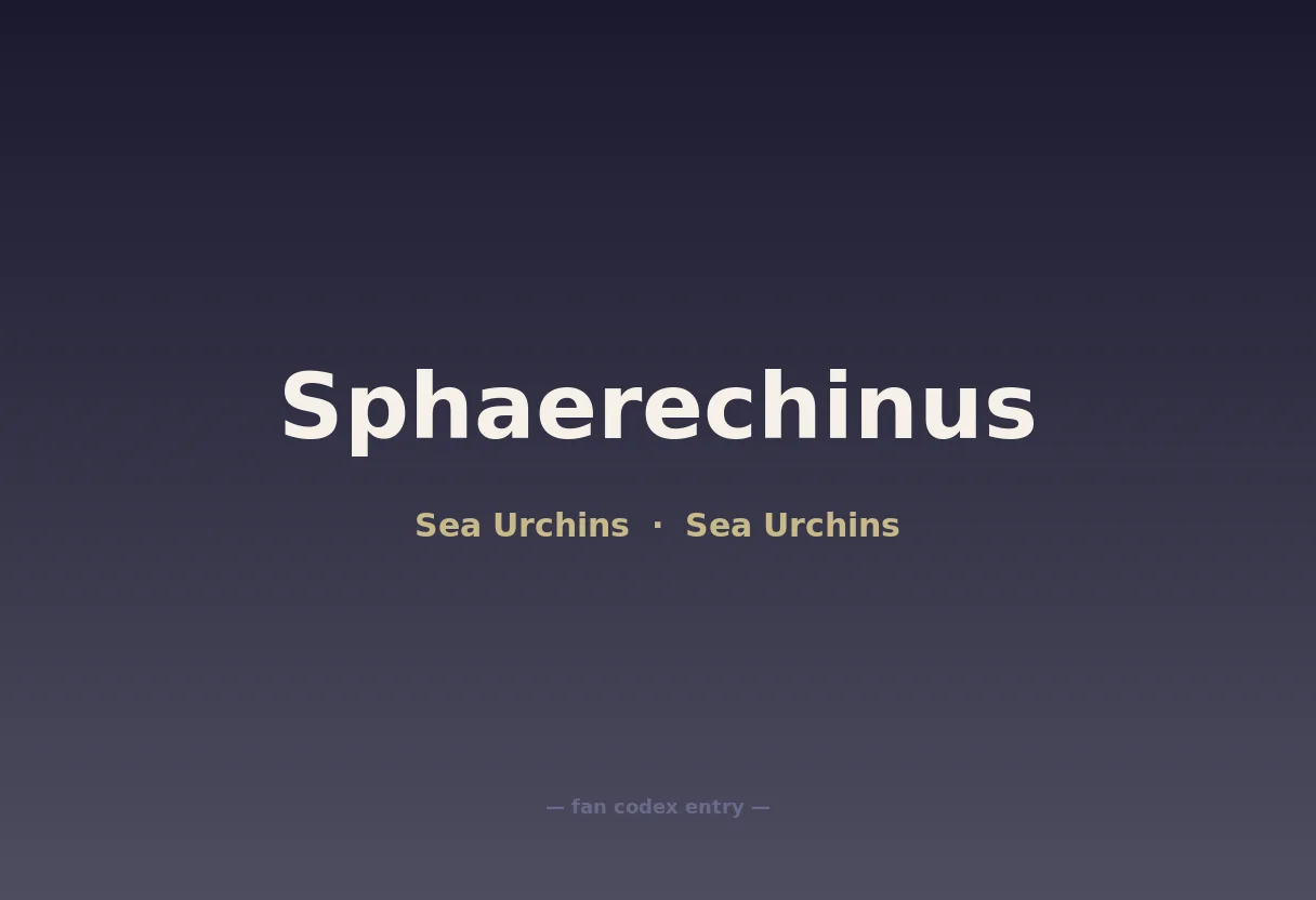 Sphaerechinus