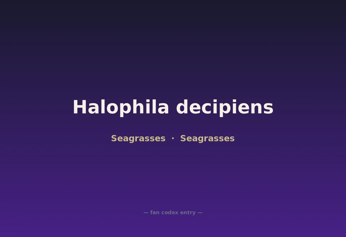 Halophila decipiens