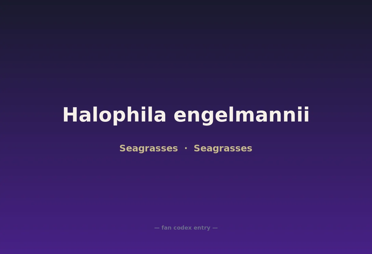Halophila engelmannii