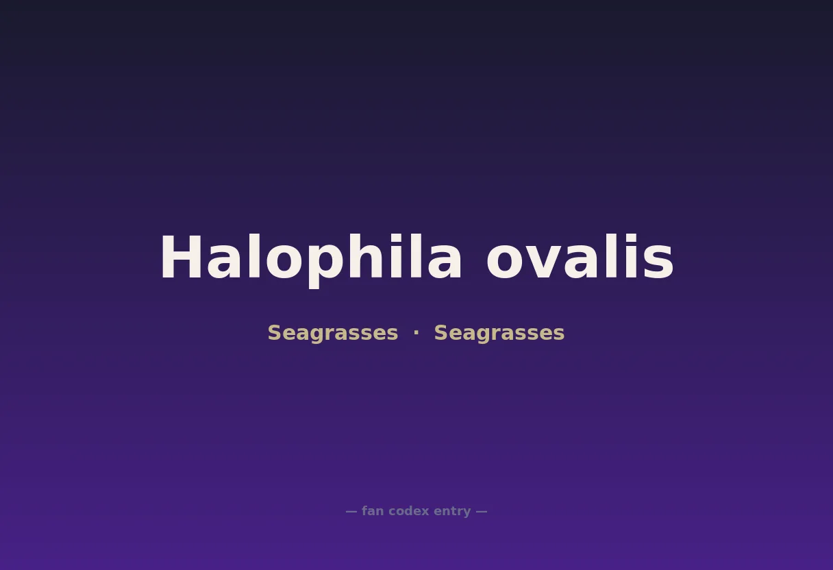 Halophila ovalis