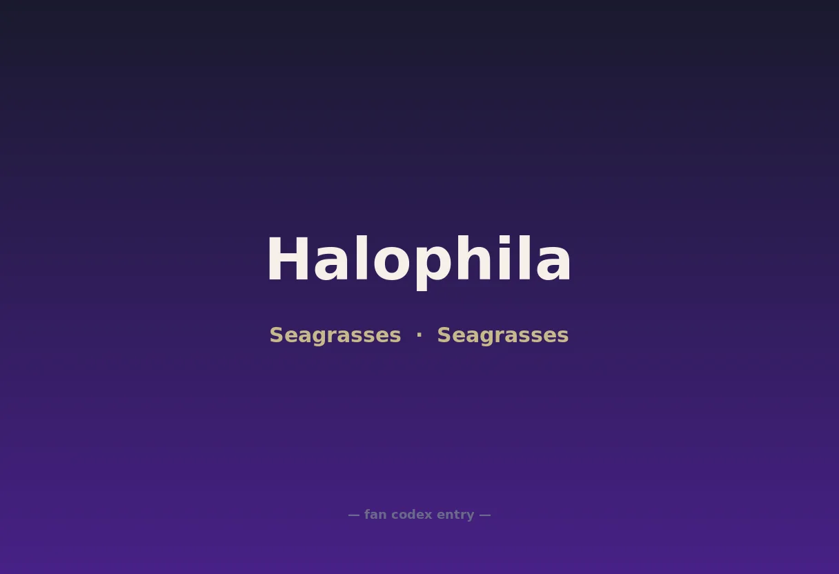 Halophila
