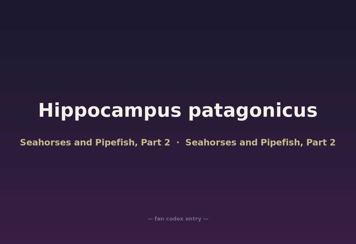Hippocampus patagonicus