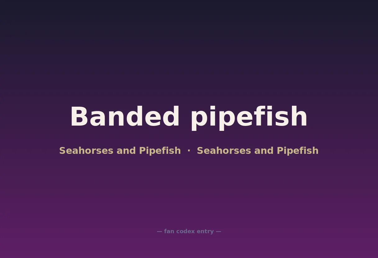 Banded pipefish