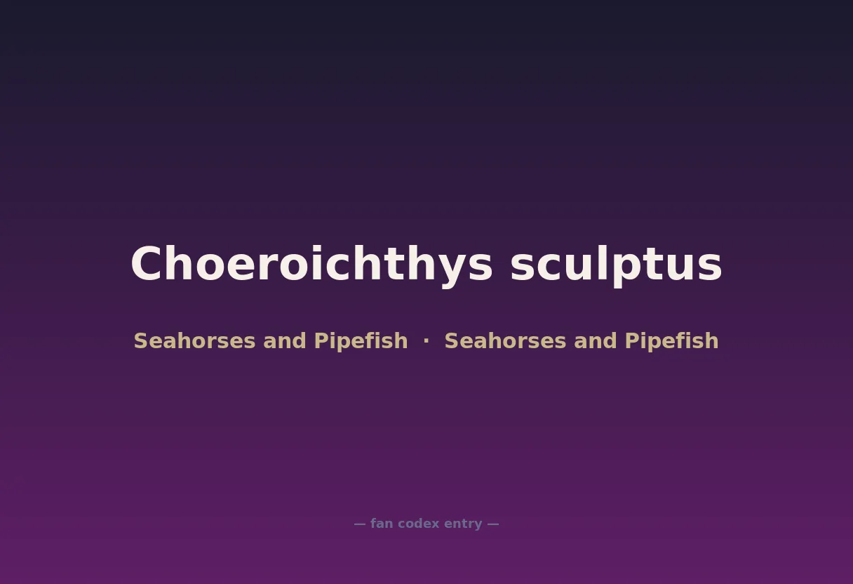Choeroichthys sculptus