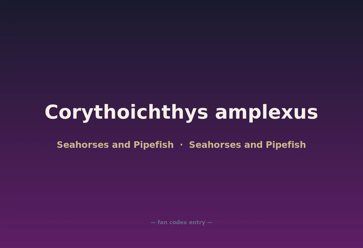 Corythoichthys amplexus