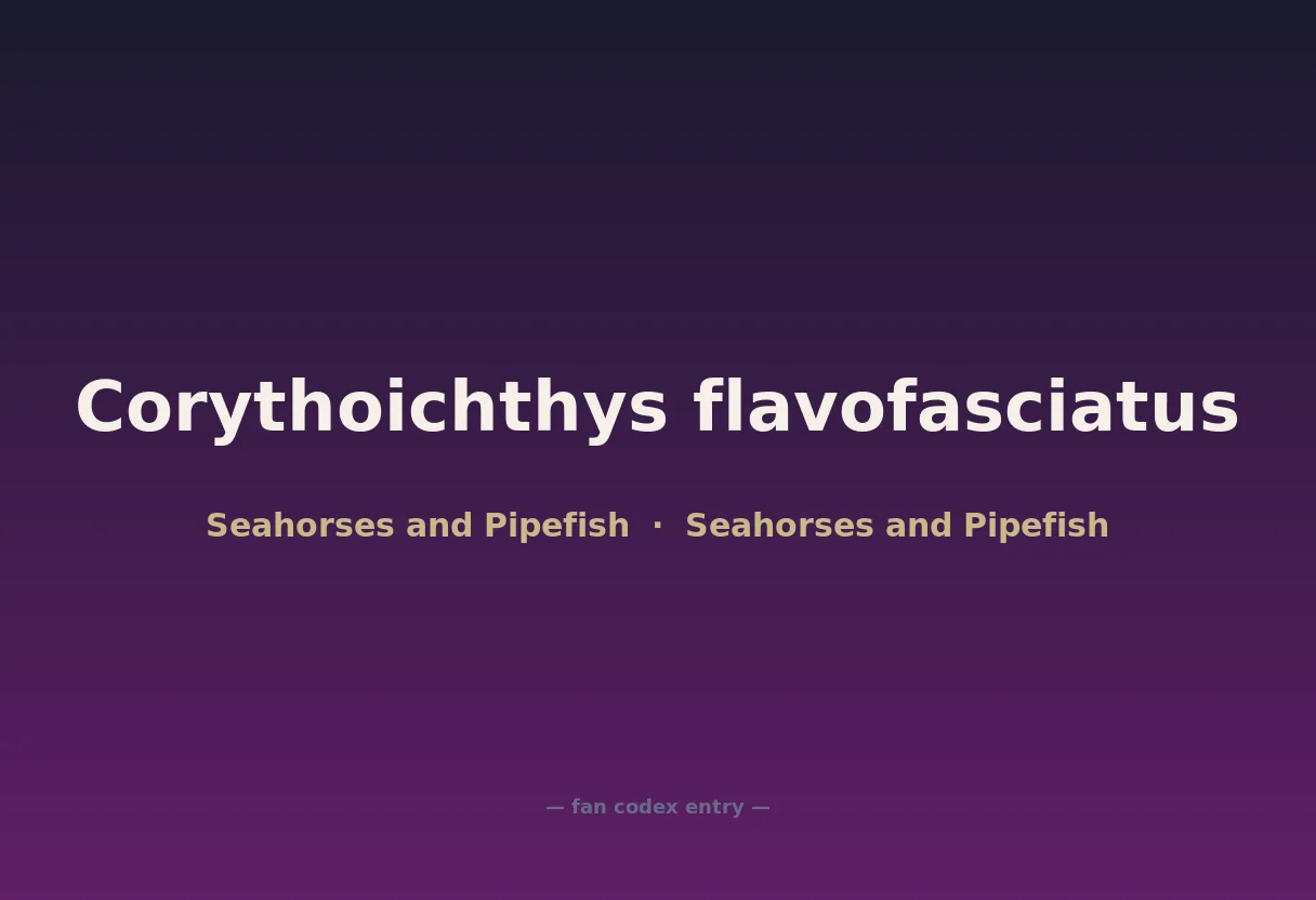 Corythoichthys flavofasciatus
