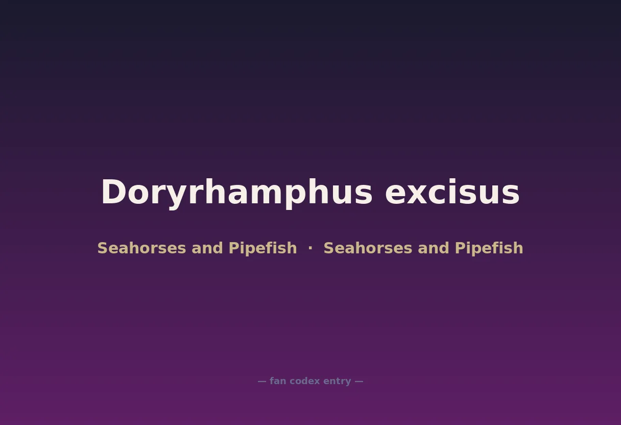 Doryrhamphus excisus