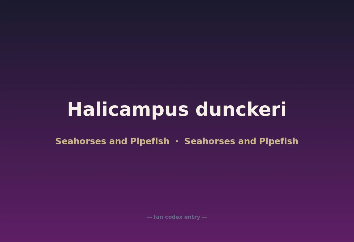 Halicampus dunckeri