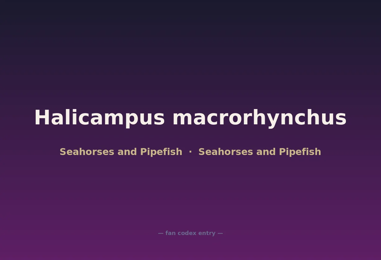 Halicampus macrorhynchus