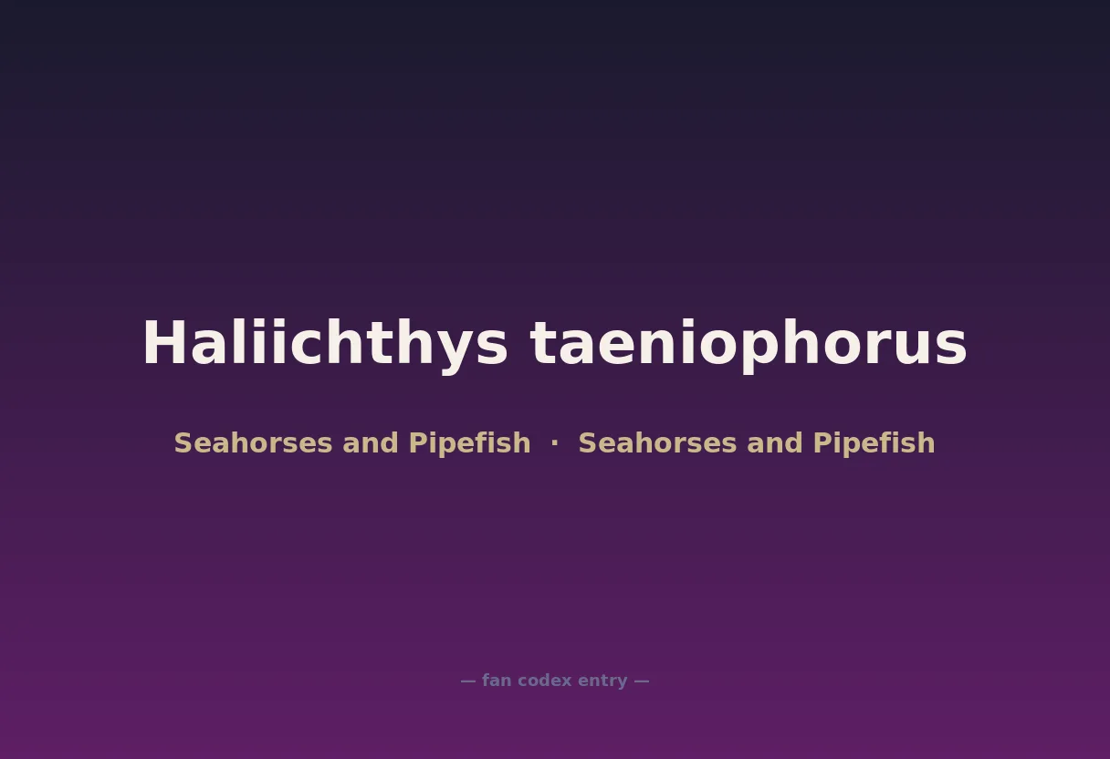 Haliichthys taeniophorus