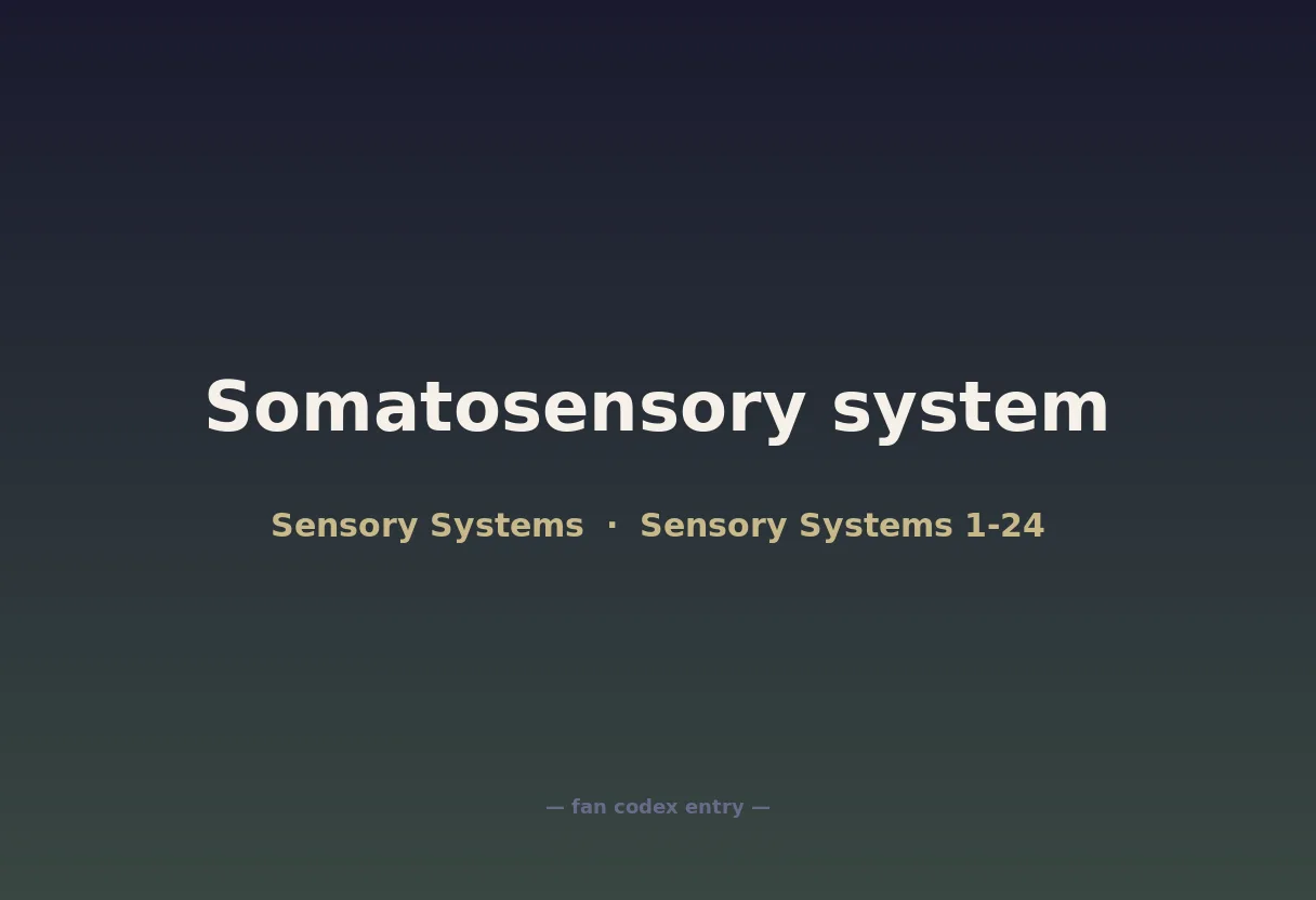 Somatosensory system