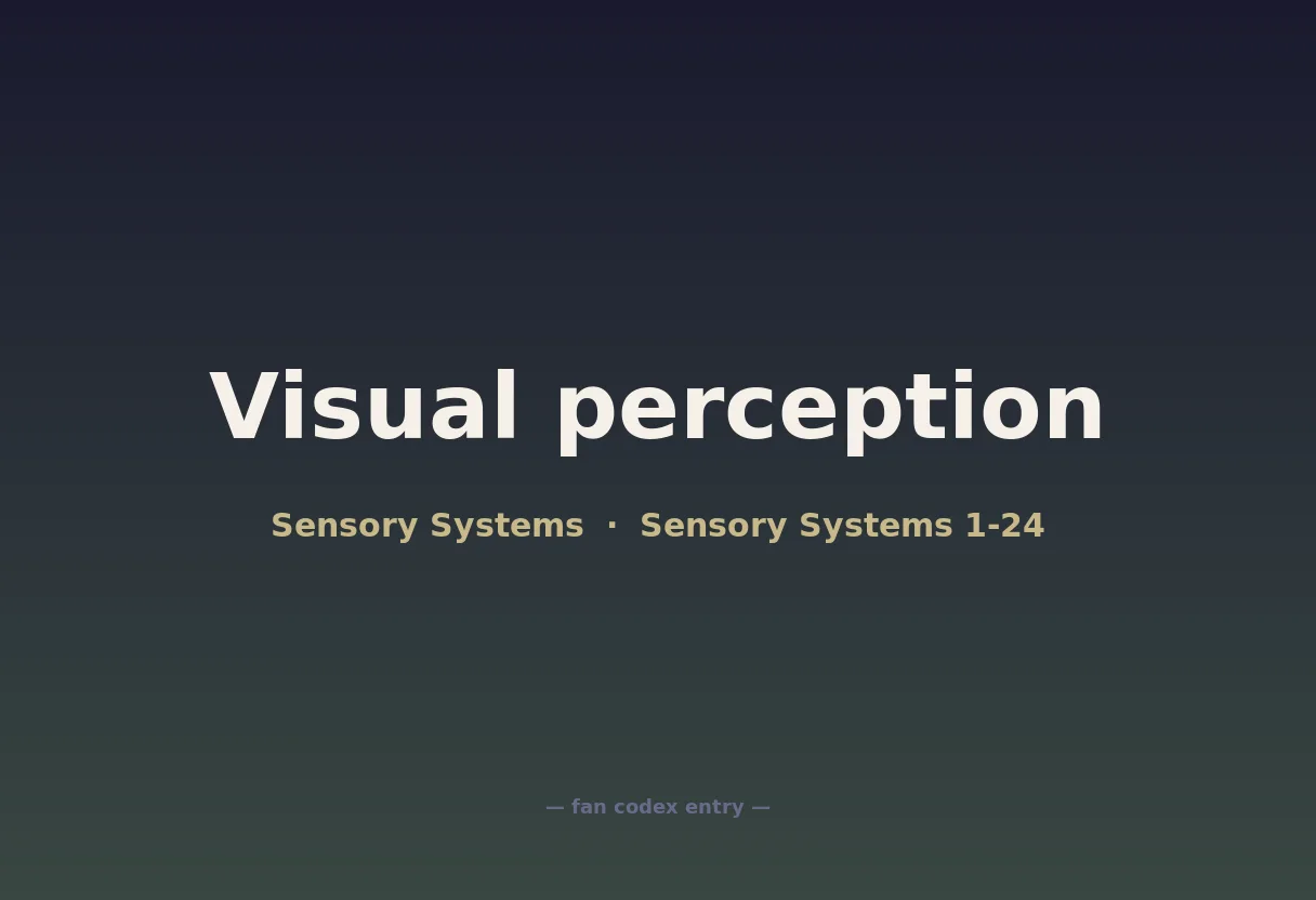 Visual perception
