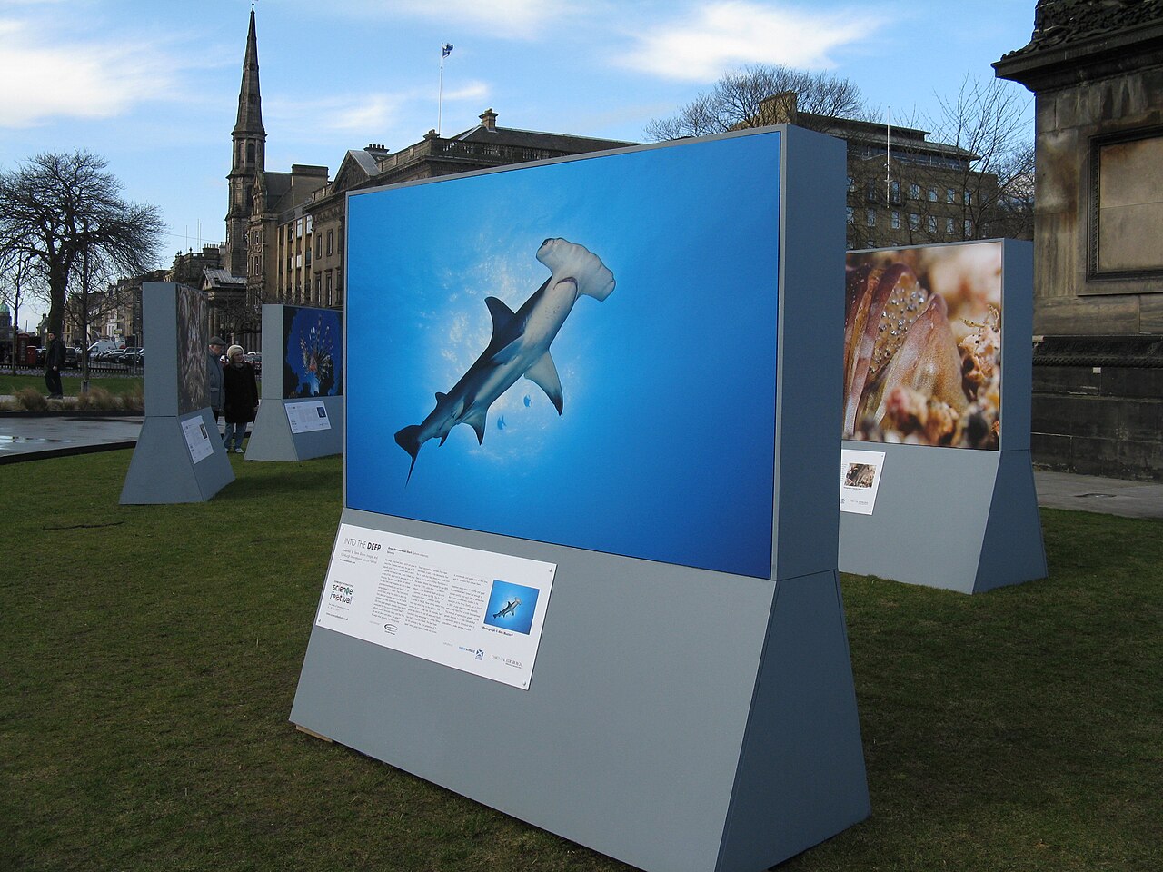 Great Hammerhead Shark in St Andrew Square - geograph.org.uk