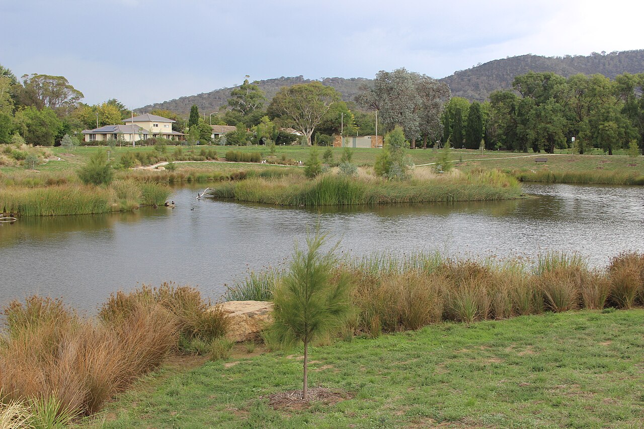 Wetlands (video game)