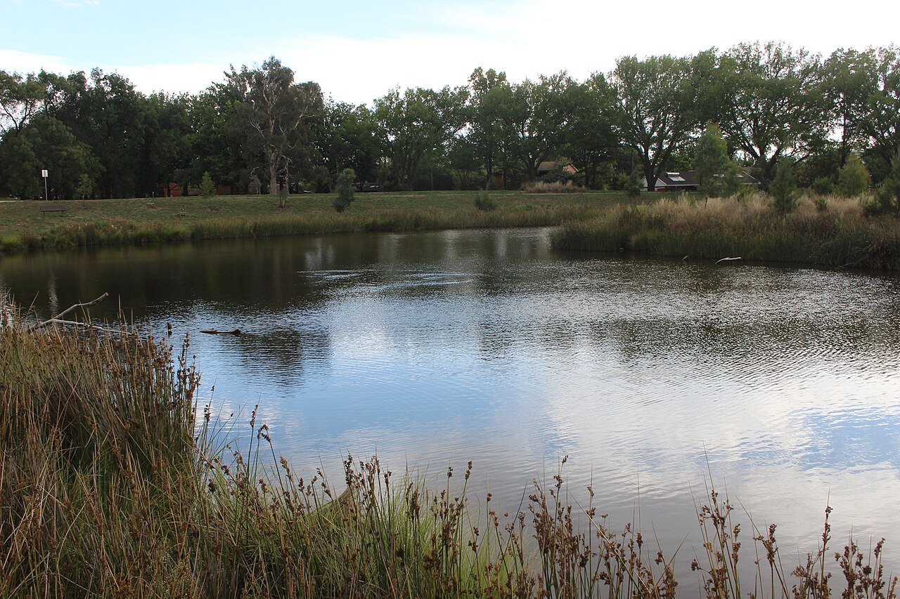 Wetlands (video game)