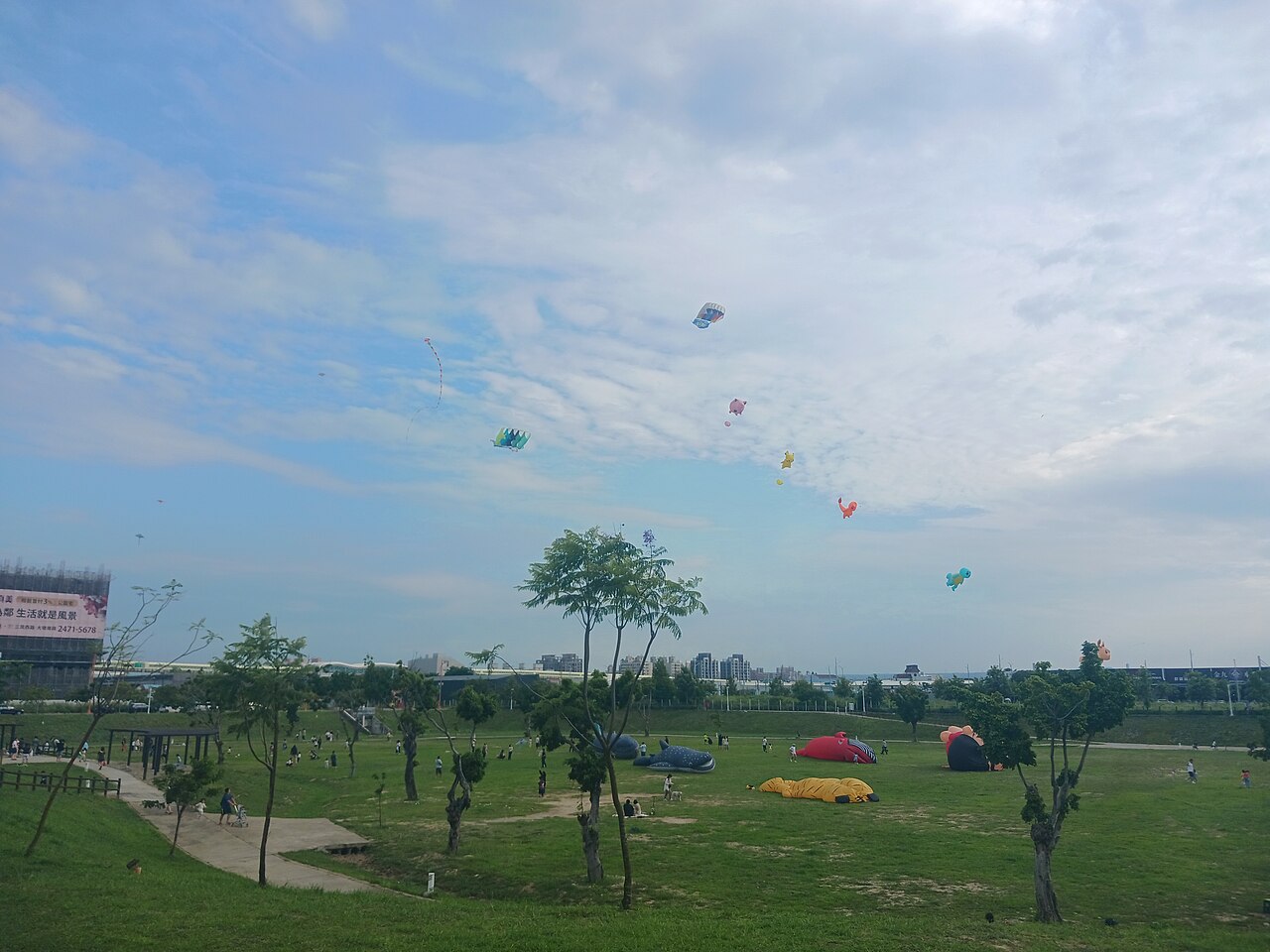 Who's That Flying?!